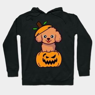 Cute Brown Dog is in a pumpkin Hoodie